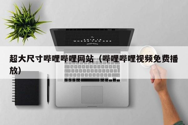 超大尺寸哔哩哔哩网站（哔哩哔哩视频免费播放）