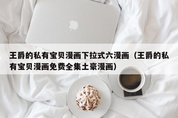 王爵的私有宝贝漫画下拉式六漫画（王爵的私有宝贝漫画免费全集土豪漫画）