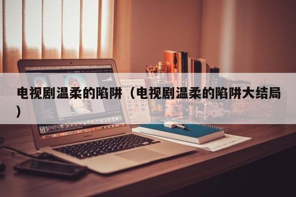电视剧温柔的陷阱（电视剧温柔的陷阱大结局）