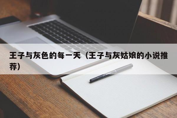 王子与灰色的每一天（王子与灰姑娘的小说推荐）