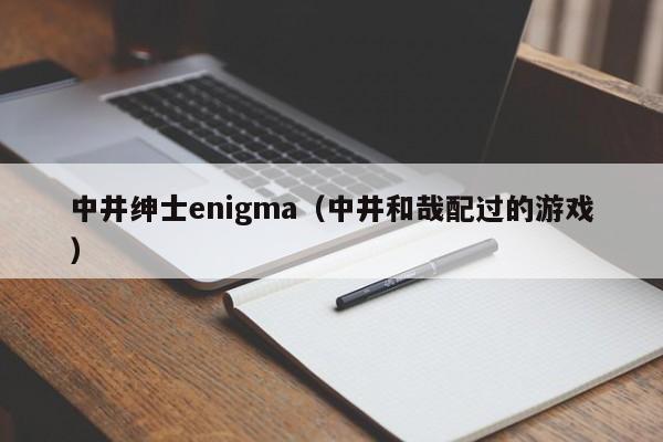 中井绅士enigma（中井和哉配过的游戏）
