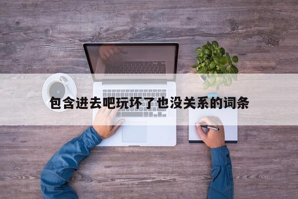 包含进去吧玩坏了也没关系的词条