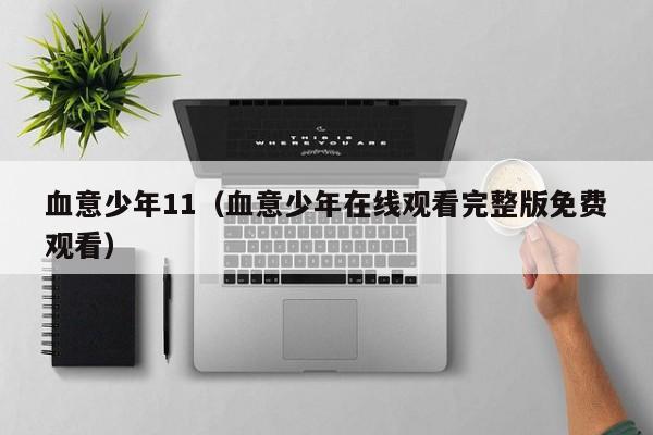 血意少年11（血意少年在线观看完整版免费观看）